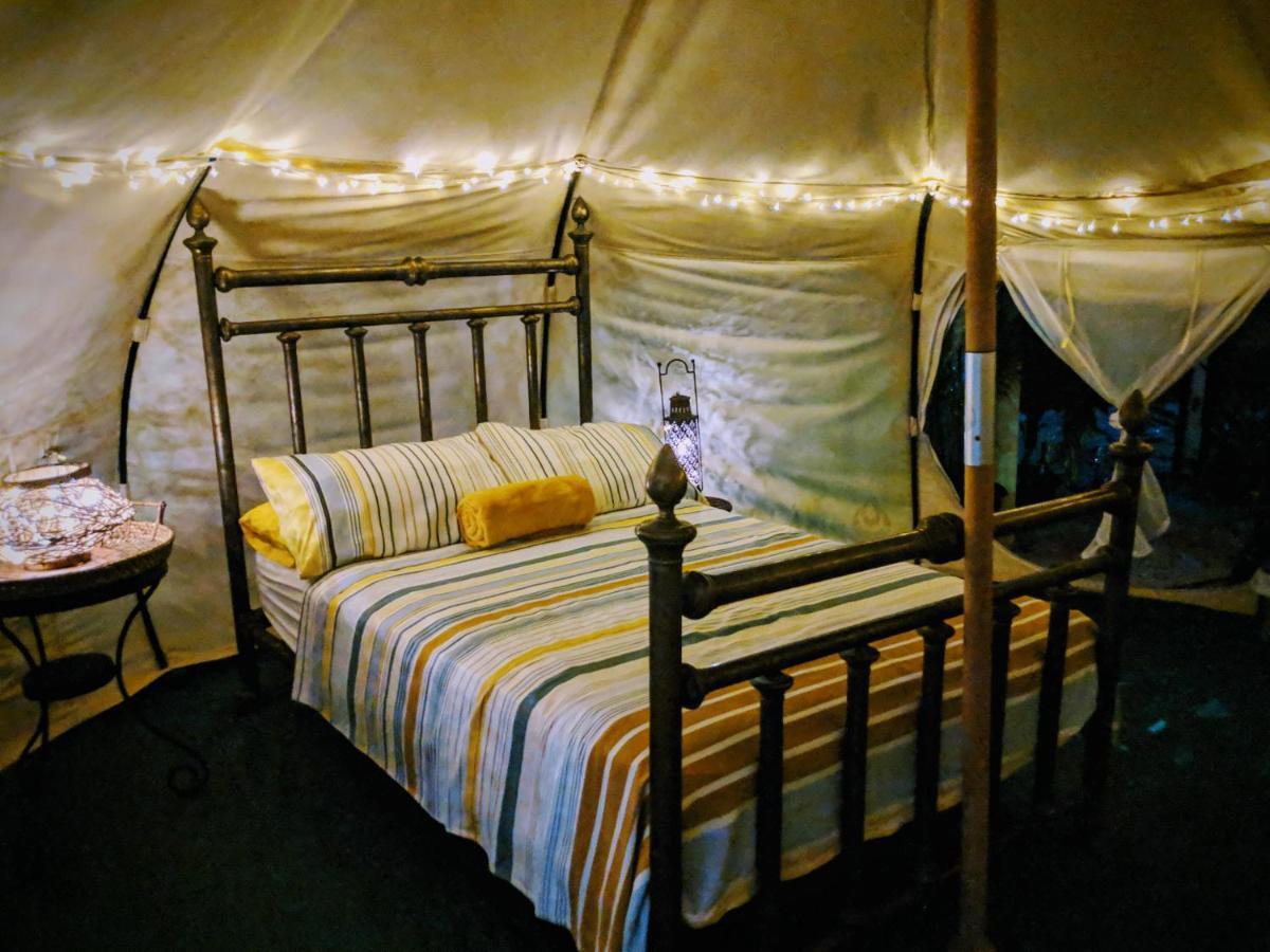 Готель Wild Lotus Glamping Bolands Екстер'єр фото