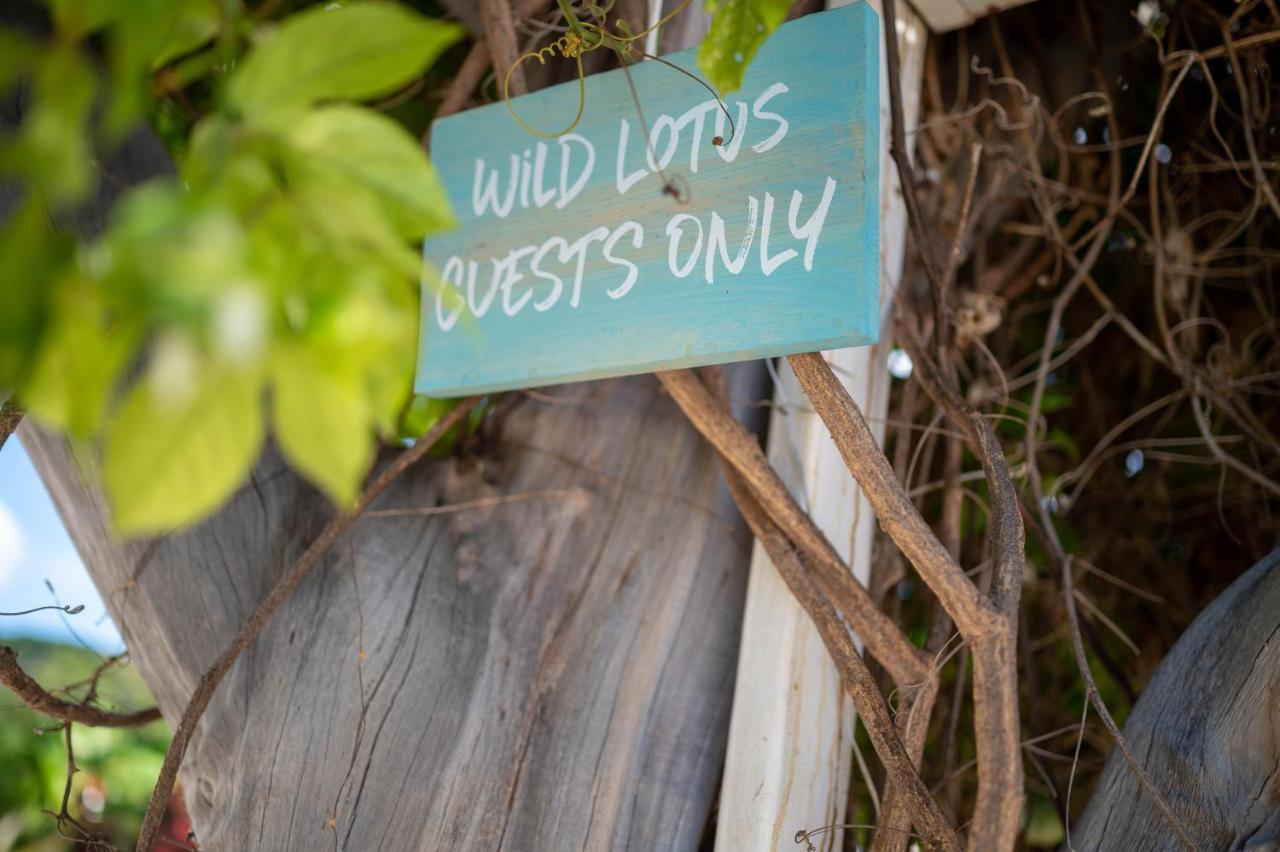 Готель Wild Lotus Glamping Bolands Екстер'єр фото